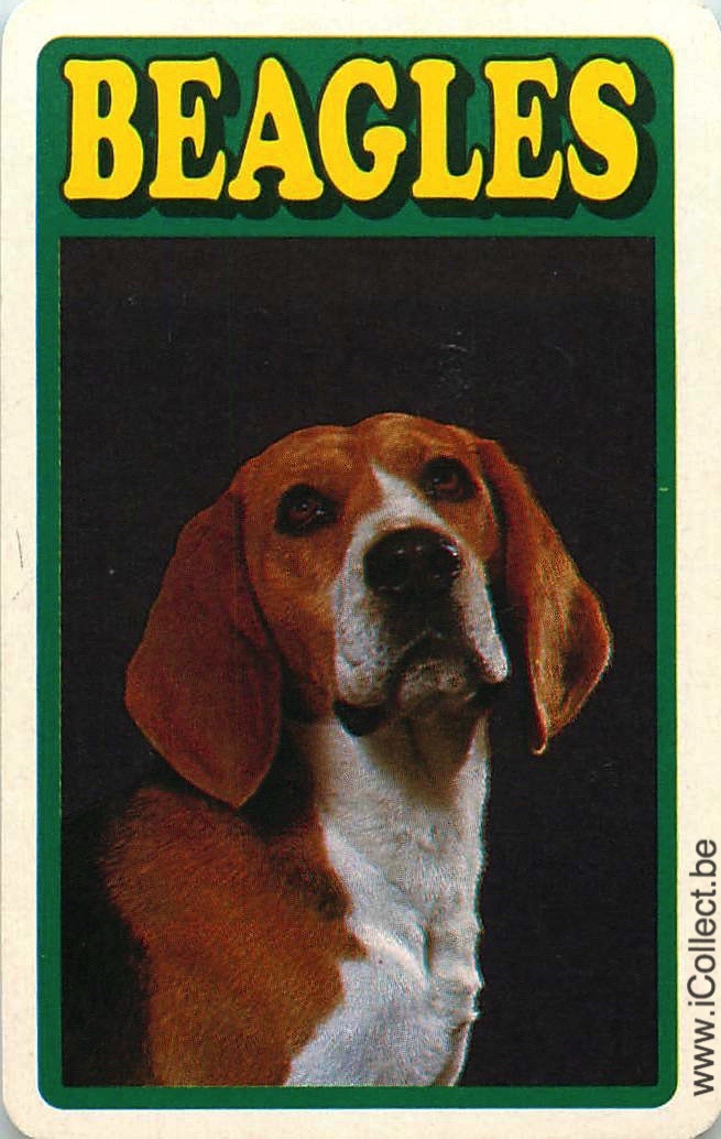Single Swap Playing Cards Dog Beagles (PS09-53A)