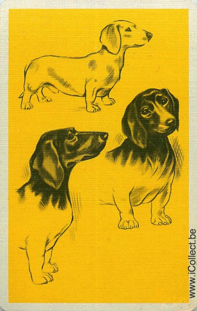 Single Swap Playing Cards Dog Beagles (PS09-55G)