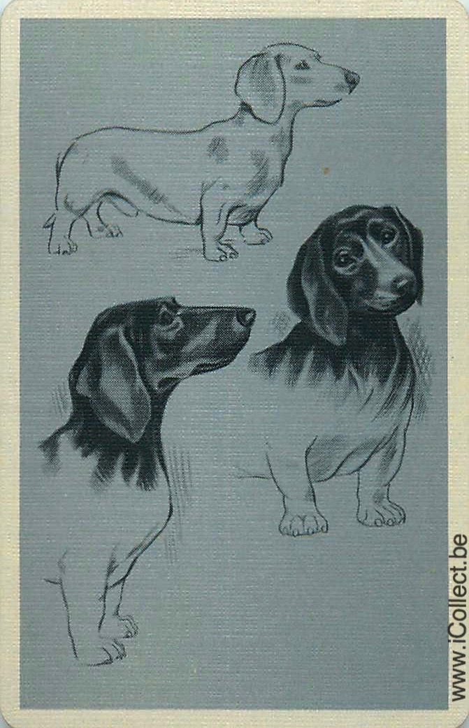 Single Swap Playing Cards Dog Beagles (PS09-56F)