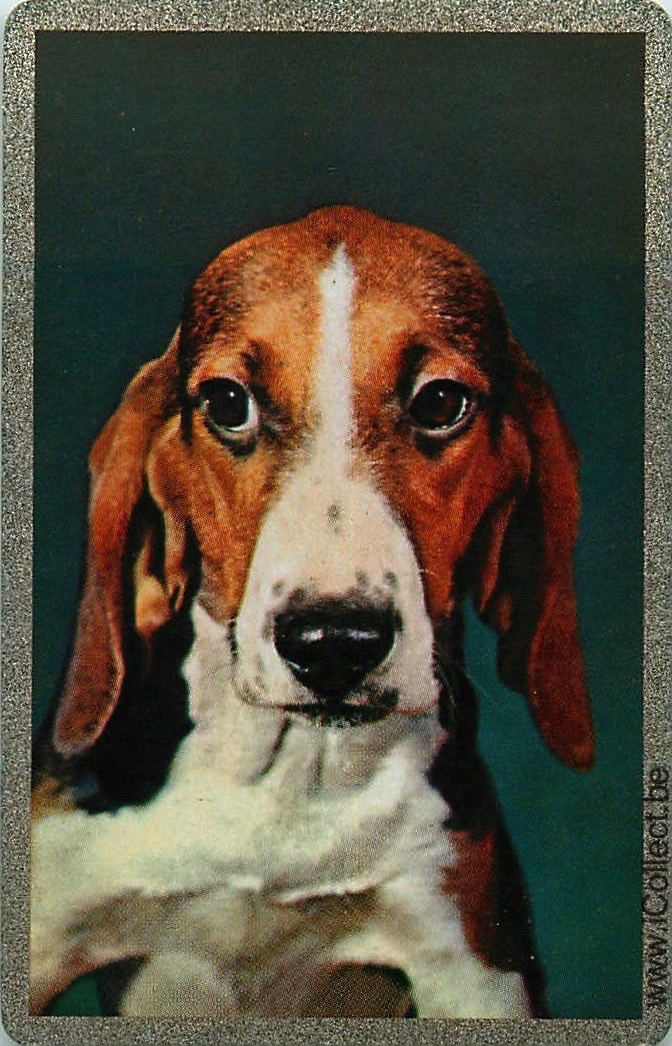 Single Swap Playing Cards Dog Beagles (PS11-18D)