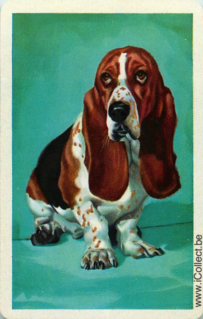 Single Swap Playing Cards Dog Beagles (PS11-30G)