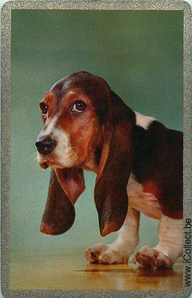 Single Swap Playing Cards Dog Beagles (PS11-32F)