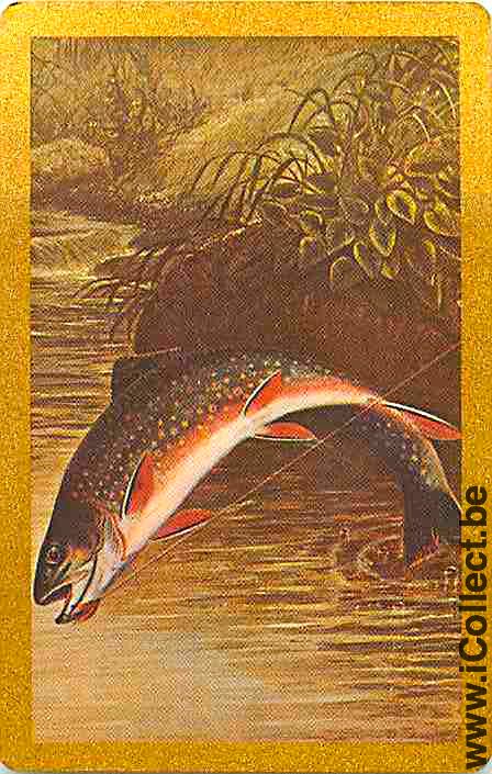 Single Swap Playing Cards Fish River Fish (PS04-10A)