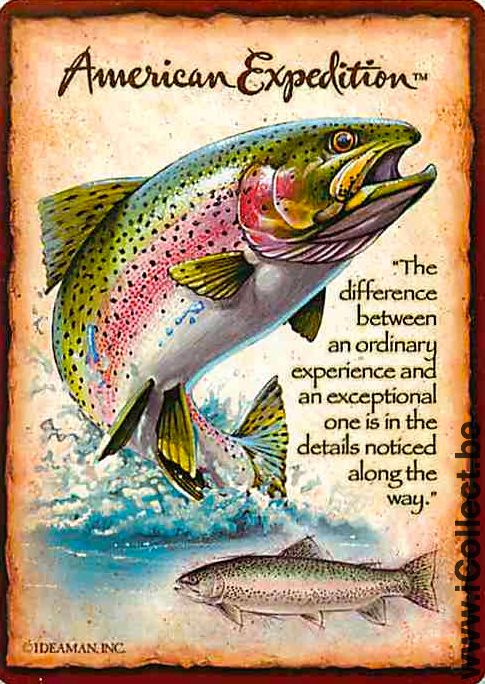 Single Playing Cards Fish River (PS08-47B) - Click Image to Close