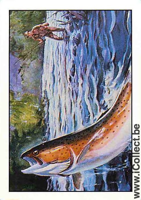 Single Playing Cards Fish River Fiherman (PS12-59G) - Click Image to Close