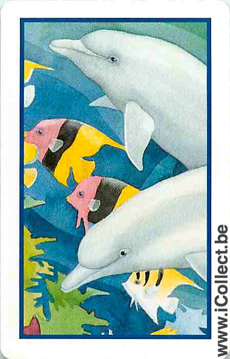 Single Playing Cards Fish Dolfins & Fish (PS04-52A)