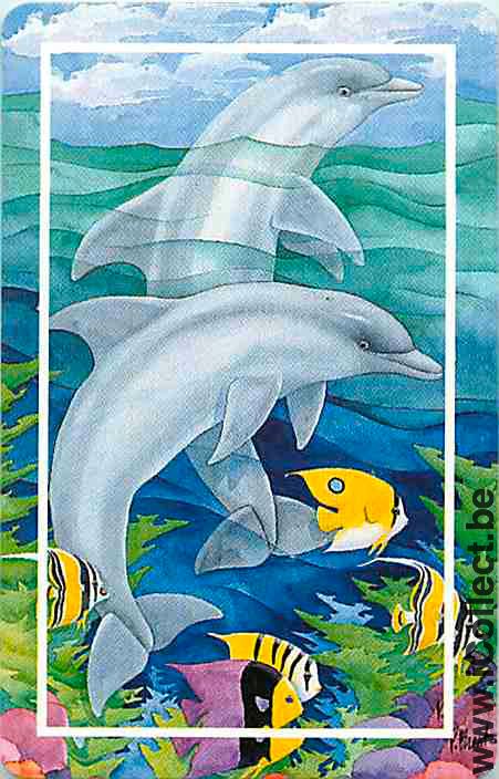 Single Playing Cards Fish Dolfins & Fish (PS04-52B)