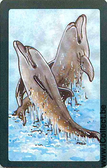 Single Playing Cards Fish Dolfins (PS04-52C) - Click Image to Close