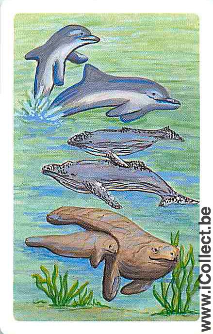 Single Playing Cards Fish Dolfins & Wales (PS04-52E)