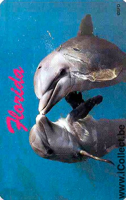 Single Playing Cards Fish Dolfins (PS04-52G) - Click Image to Close