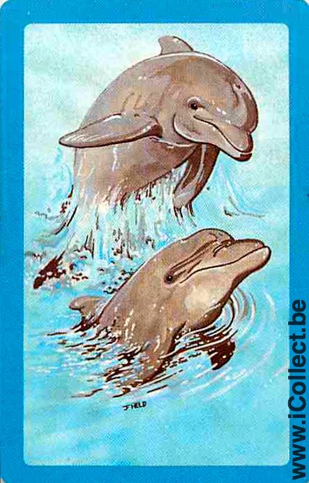 Single Playing Cards Fish Dolfins (PS04-52H)