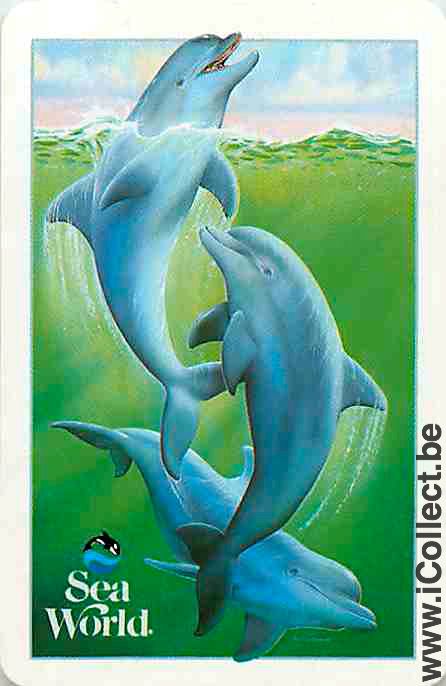 Single Swap Playing Cards Dolfins Sea World (PS04-52I) - Click Image to Close
