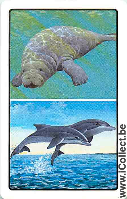 Single Playing Cards Fish Dolfins & Sea Elephant (PS04-53A)
