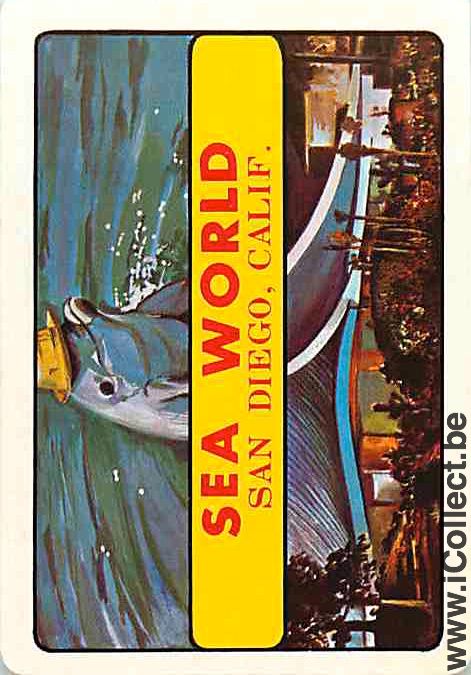 Single Swap Playing Cards Dolfins Sea World (PS04-53B)