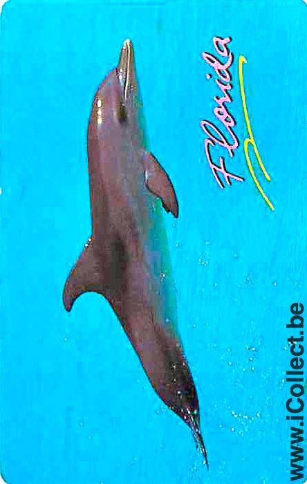 Single Playing Cards Fish Dolfins (PS04-53C) - Click Image to Close