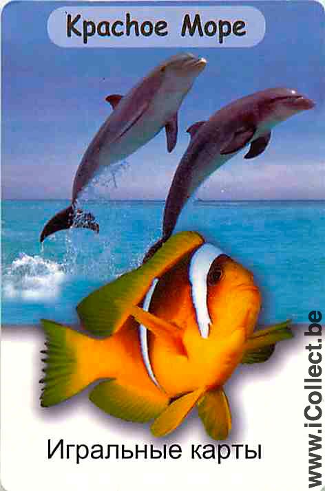 Single Playing Cards Fish Dolfins & Fish (PS04-53E) - Click Image to Close