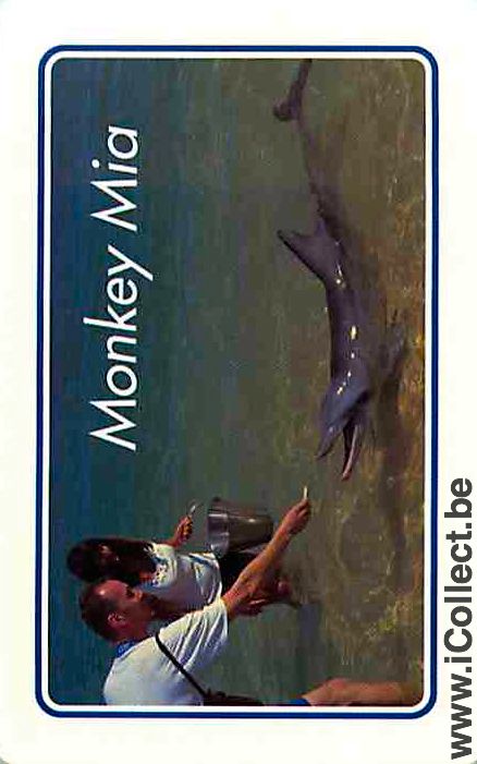 Single Playing Cards Fish Dolfins (PS02-55E)