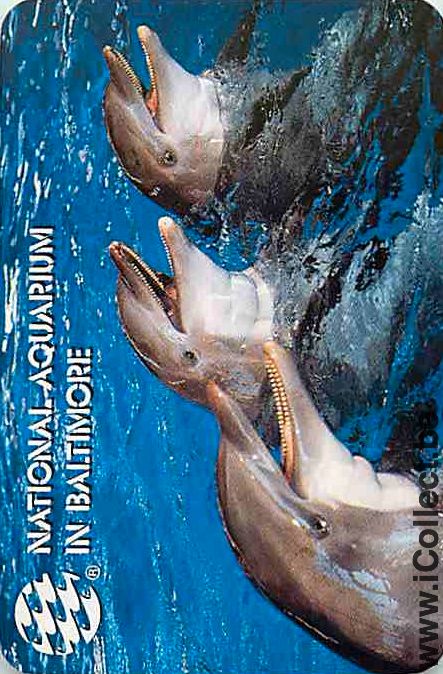 Single Playing Cards Fish Dolfins Aquarium (PS12-58D)