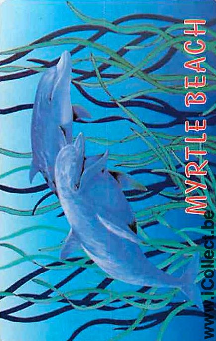 Single Playing Cards Fish Dolfins Myrtle Beach (PS12-58E) - Click Image to Close