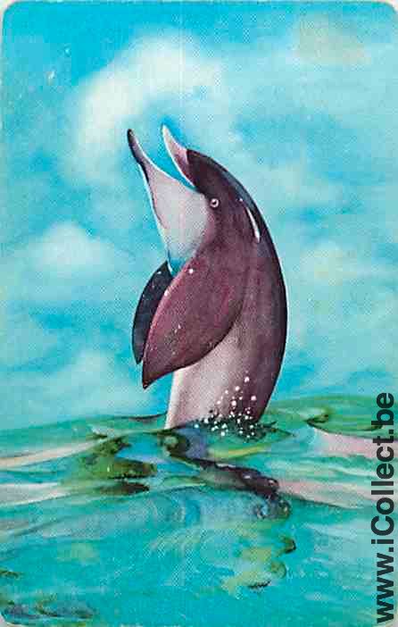Single Playing Cards Fish Dolfins (PS12-58F) - Click Image to Close