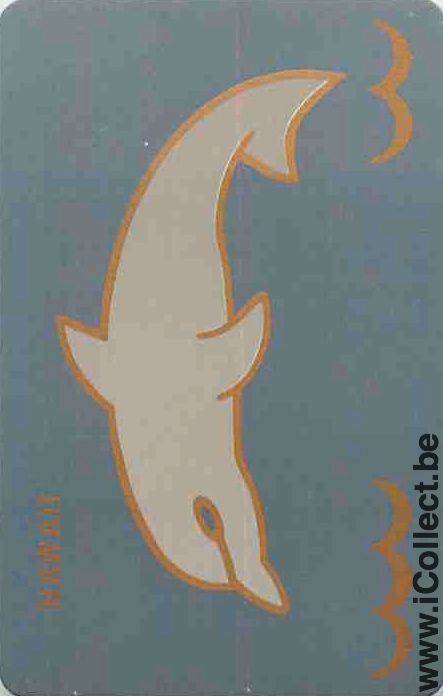 Single Playing Cards Fish Dolfins Hawaii (PS12-58G) - Click Image to Close