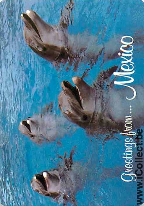 Single Playing Cards Fish Dolphin from Mexico (PS12-35B) - Click Image to Close