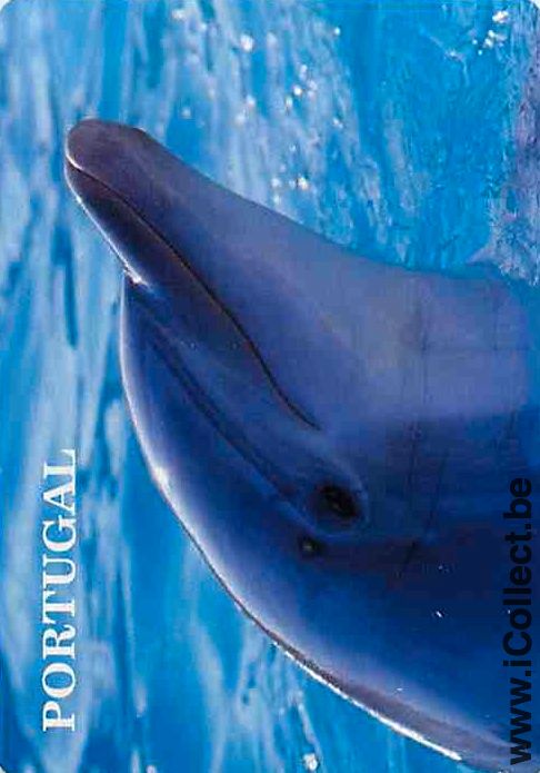 Single Playing Cards Fish Dolfin Portugal (PS01-54B) - Click Image to Close