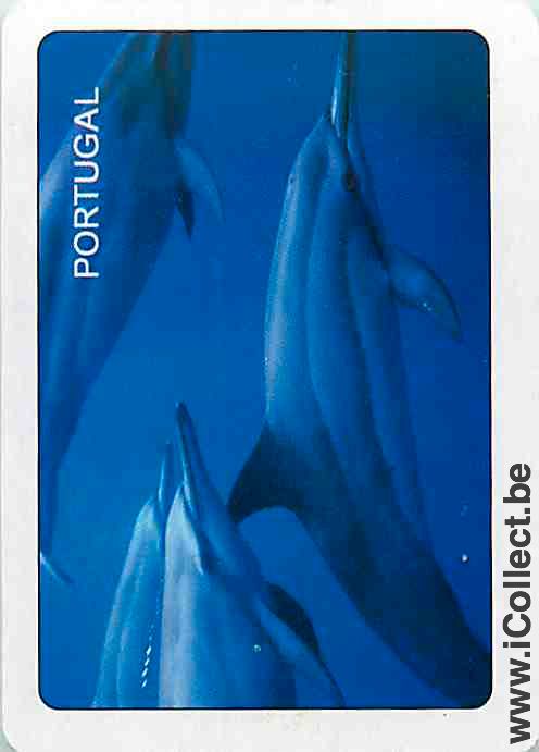 Single Playing Cards Fish Dolfin Portugal (PS02-10C)