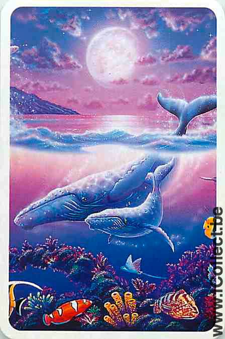 Single Playing Cards Fish Whales (PS04-53G) - Click Image to Close