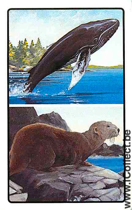 Single Playing Cards Fish Whales & Seam (PS04-53I)