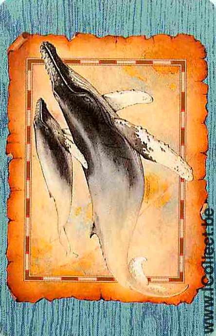 Single Playing Cards Fish Whales (PS04-54A)