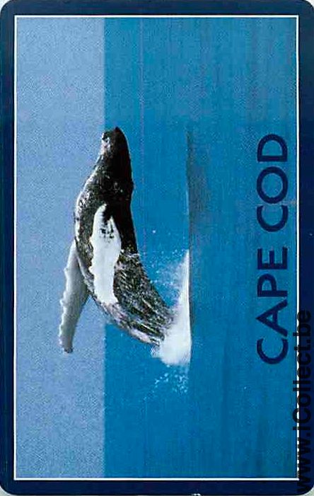 Single Playing Cards Fish Whales Cape Cod (PS12-57H) - Click Image to Close
