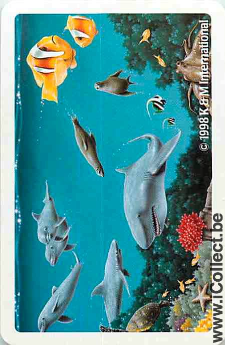 Single Playing Cards Fish Shark (PS04-55C)