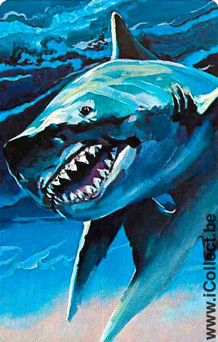 Single Playing Cards Fish Shark (PS04-55E) - Click Image to Close