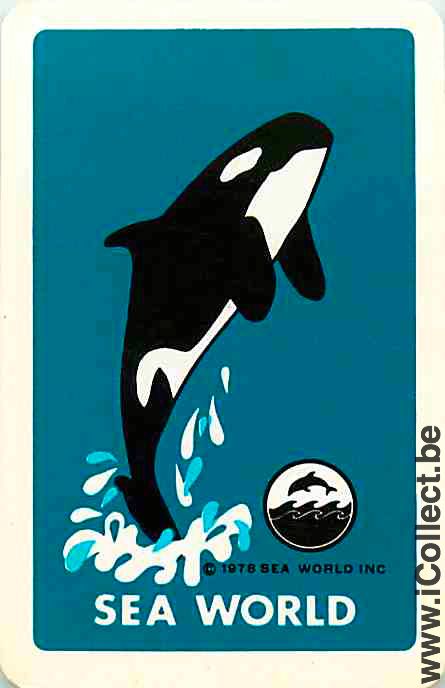 Single Swap Playing Cards Fish Shamu Sea World (PS04-56B) - Click Image to Close