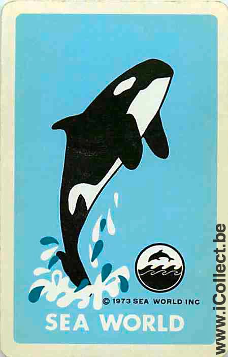 Single Playing Cards Fish Shamu Orca Sea World (PS04-56C)