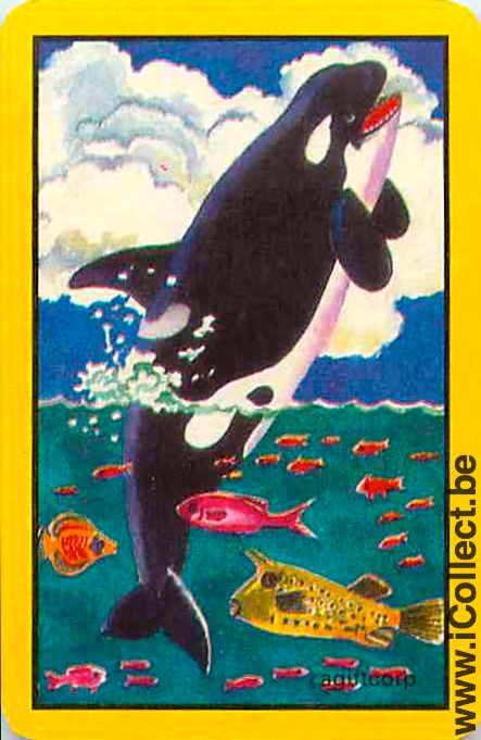 Single Swap Playing Cards Fish Shamu & Fishes (PS04-56F)