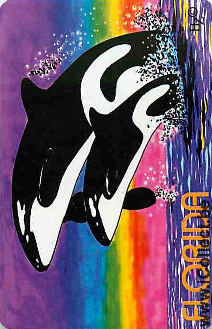 Single Playing Cards Fish Shamu Florida (PS12-56H)