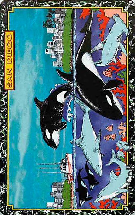 Single Playing Cards Fish Shamu San Diego (PS12-56I)