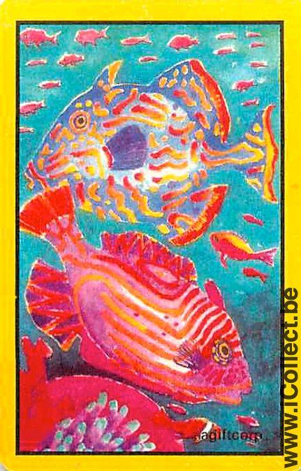 Single Swap Playing Cards Fish Tropical Fish (PS03-51E) - Click Image to Close