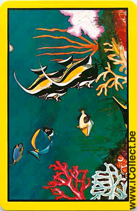 Single Swap Playing Cards Fish Tropical Fish (PS03-52E)
