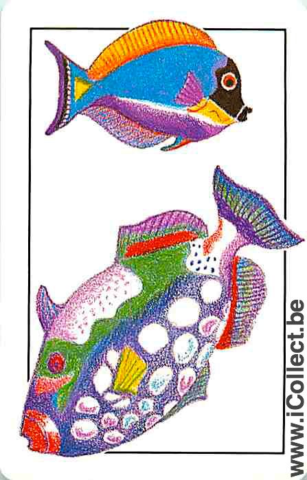 Single Swap Playing Cards Fish Tropical Fish (PS04-44I)