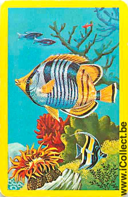 Single Playing Cards Tropical Fish (PS03-53D)
