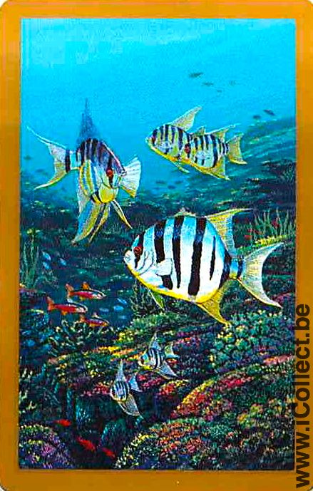 Single Playing Cards Fish Tropical Fish (PS03-54E)