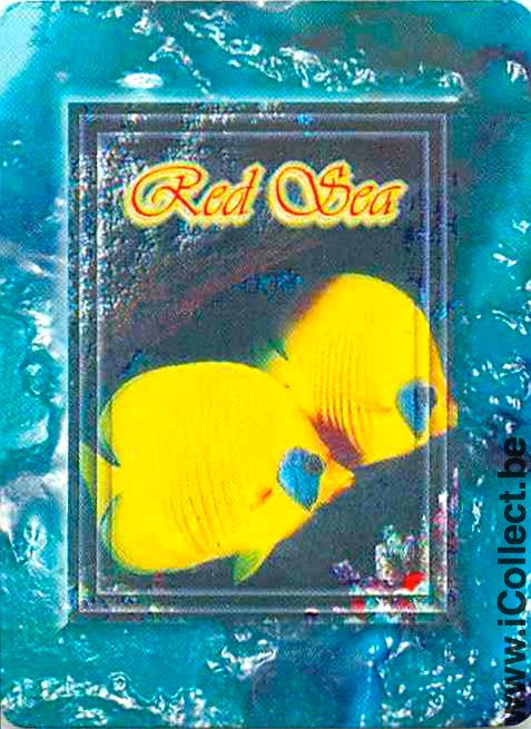Single Playing Cards Fish Tropical Fish Red Sea (PS03-55B) - Click Image to Close