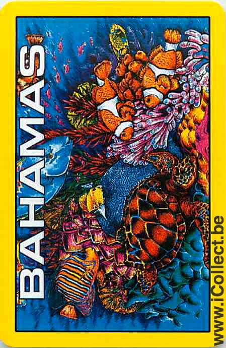 Single Playing Cards Fish Tropical Fish Bahamas (PS02-55F) - Click Image to Close