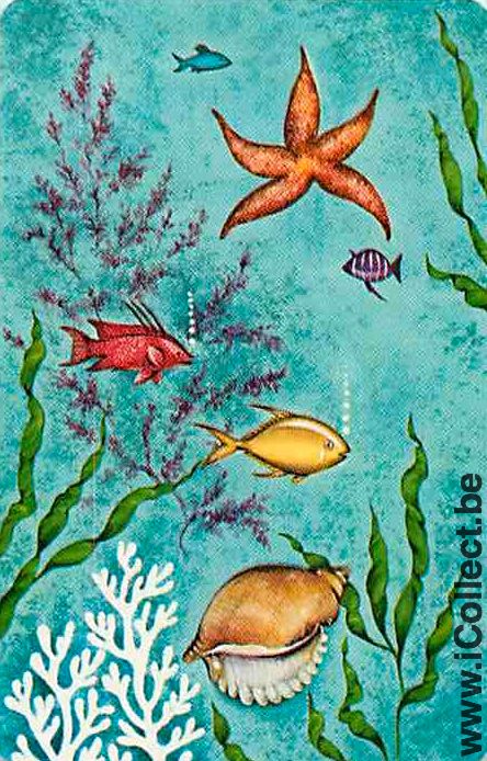 Single Playing Cards Fish Tropical (PS10-47G) - Click Image to Close