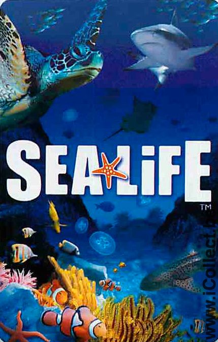 Single Playing Cards Fish Sea Life Aquarium (PS02-52E) - Click Image to Close