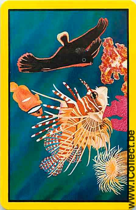 Single Playing Cards Fish Tropical (PS12-56E) - Click Image to Close