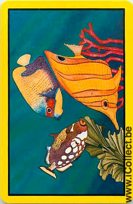 Single Playing Cards Fish Tropical (PS12-56G)